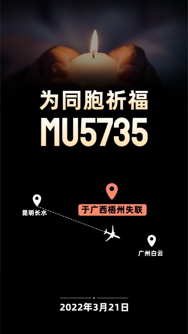 飞机失事为同胞祈福海报预览效果