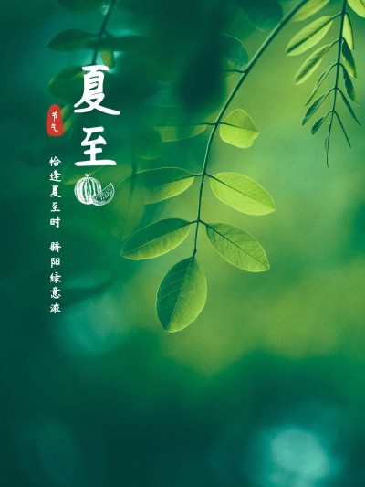 夏至节气风景简约风plog模板
