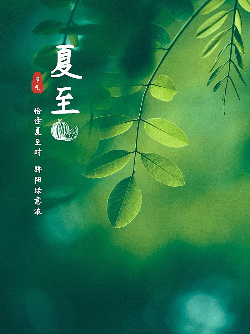 夏至节气风景简约风plog模板