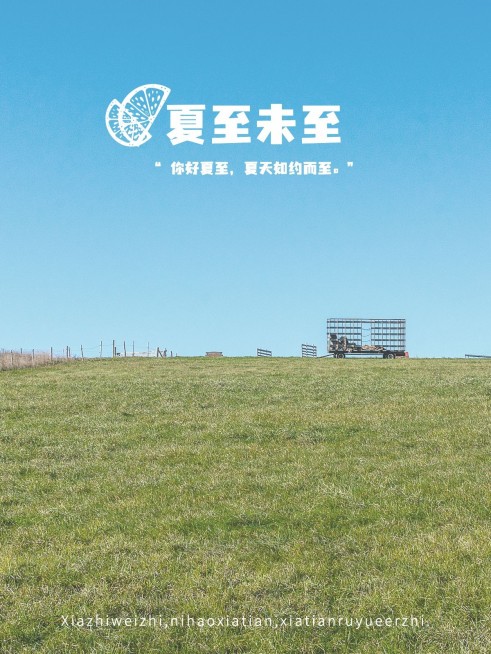 夏至节气分享简约风plog模板预览效果