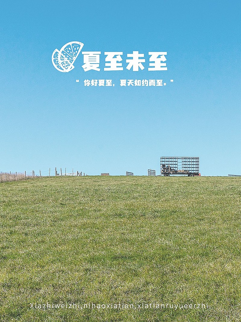 夏至节气分享简约风plog模板