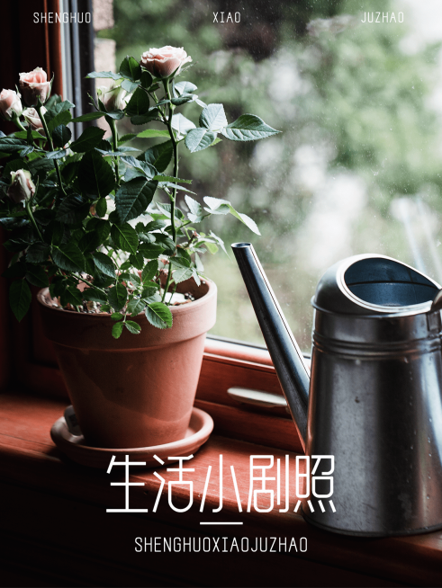 居家晒物晒照简约风plog模板预览效果