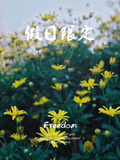 风景日常分享简约风plog模板