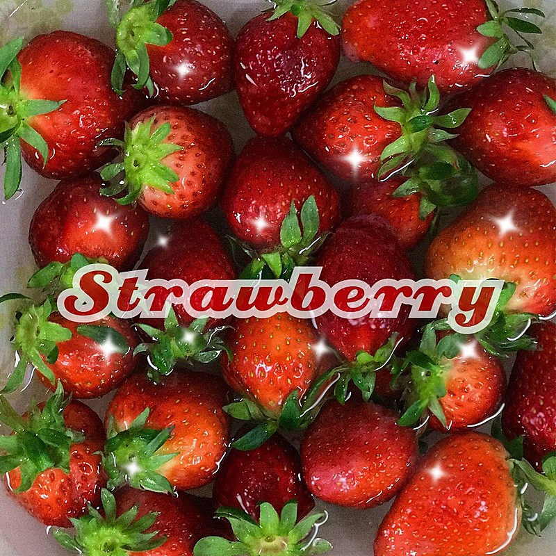 晒水果词卡生活分享简约风plog模板