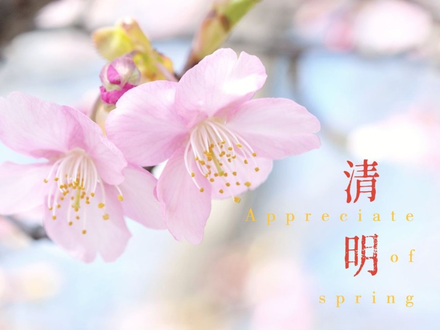 春节晒图春节祝福新年祝福立春桃花plog模板预览效果