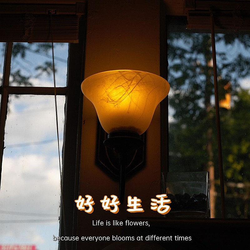 晒生活词卡晒图晒照简约风plog模板