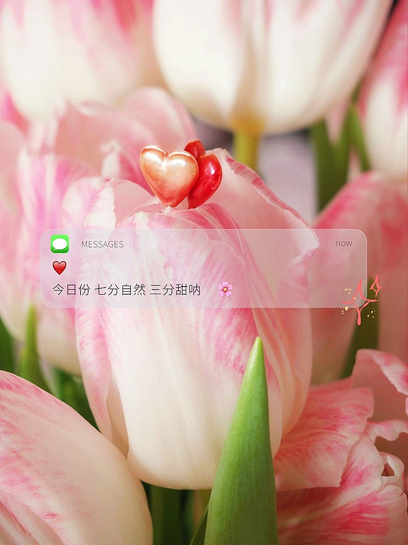 三八妇女节文本框节日祝福界面风plog模板