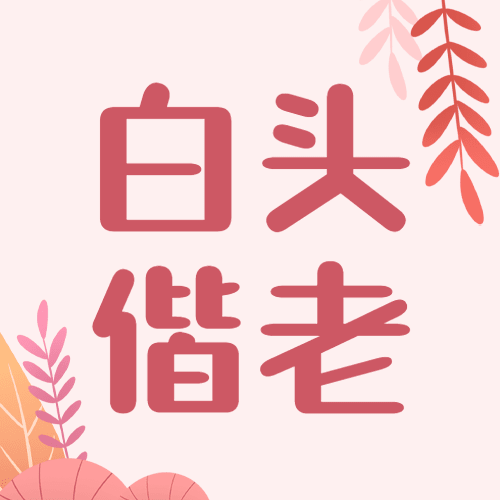 通用白色情人节祝福手绘公众号次图预览效果