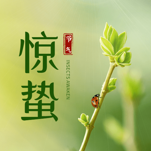 惊蛰节气祝福公众号次图预览效果
