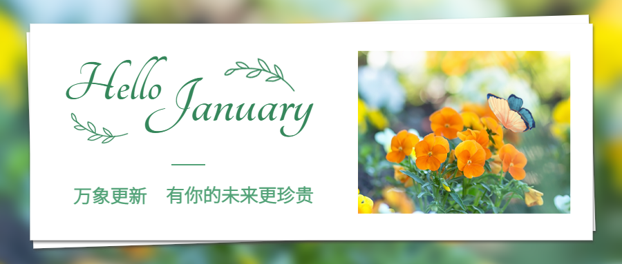 通用1月你好祝福清新公众号首图预览效果
