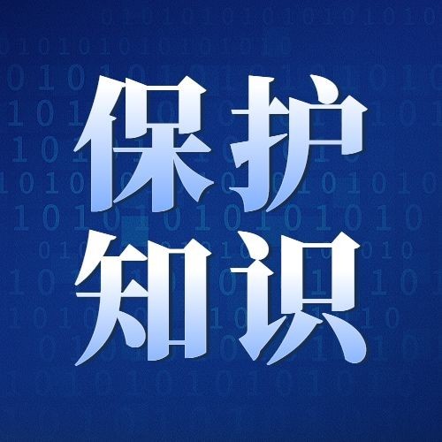 世界知识产权日节日宣传公众号次图预览效果
