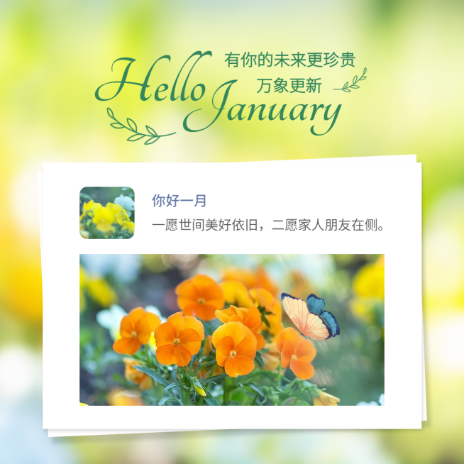 1月你好清新文艺简约方形海报预览效果