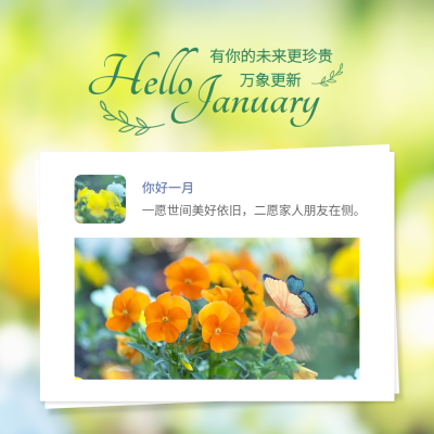 1月你好清新文艺简约方形海报