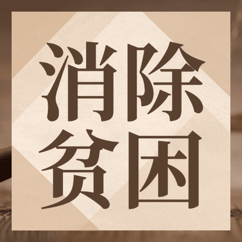 2.20世界社会公正日宣传简约公众号次图预览效果