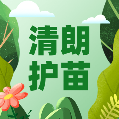融媒体清朗行动资讯发布排版公众号次图