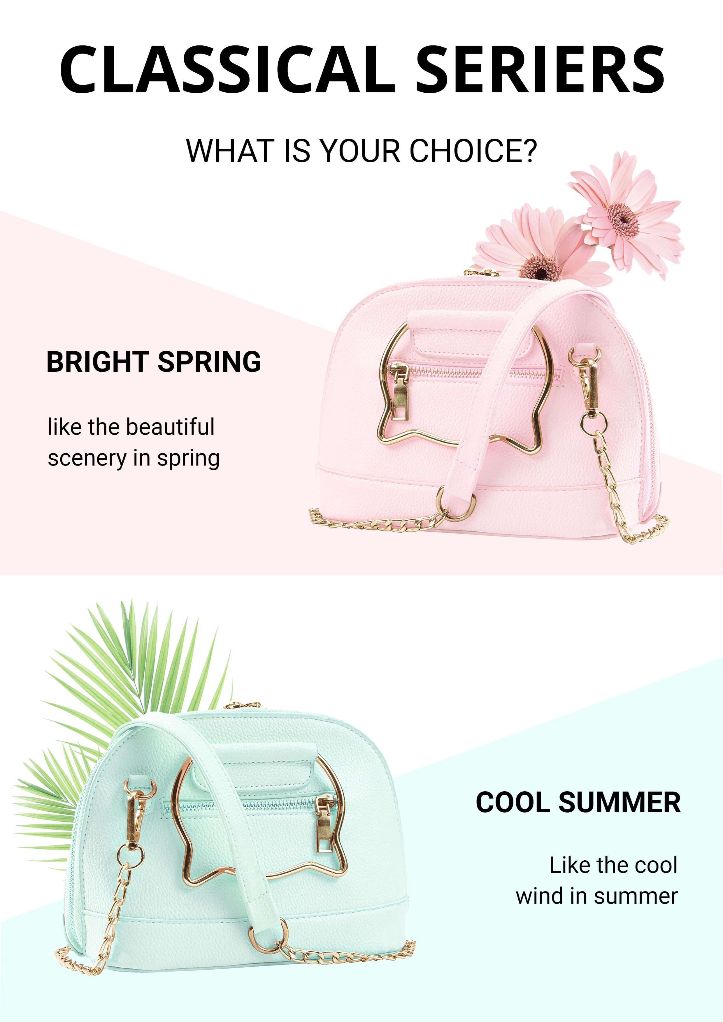 Simple Women's Bag Color Options Poster