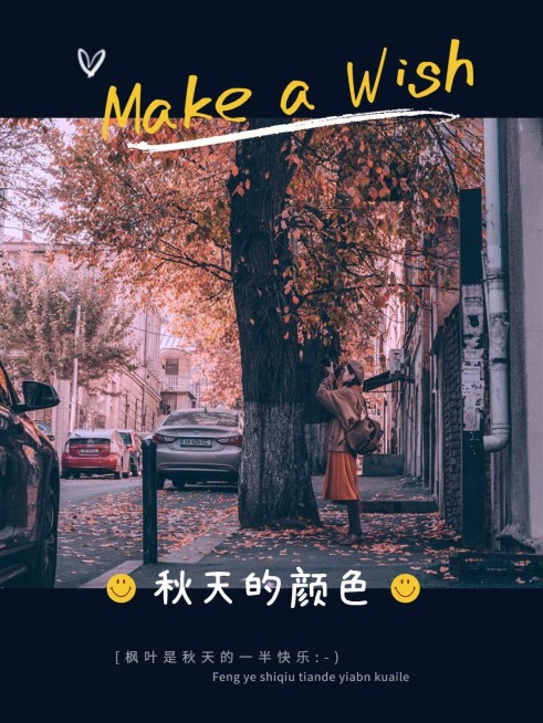 秋天风景晒照plog预览效果