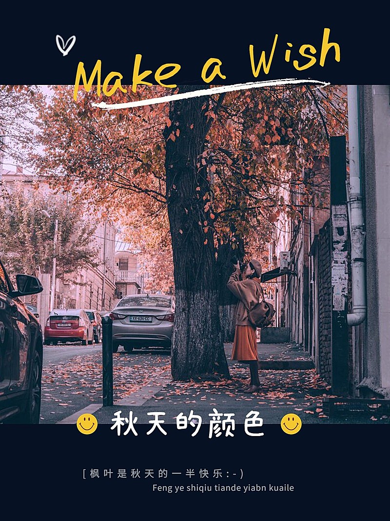 秋天风景晒照plog