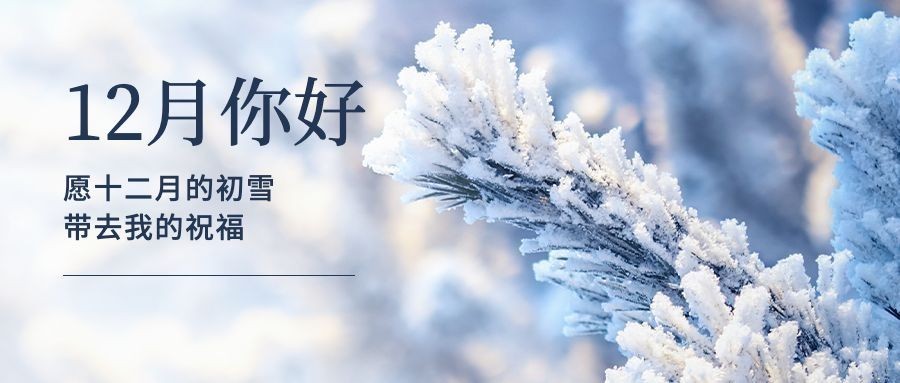 通用12月你好清新实景祝福公众号首图预览效果