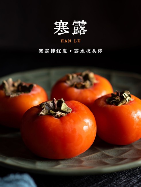 节气寒露晒美食简约风plog模板预览效果