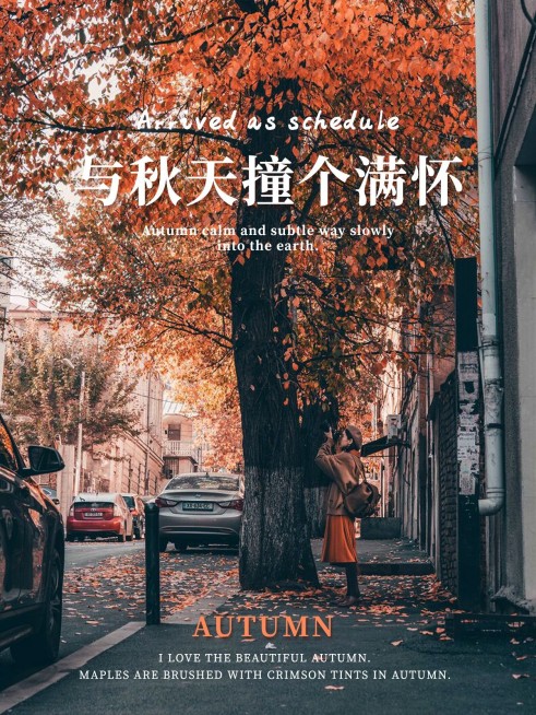 季节秋天晒风景简约风plog模板预览效果