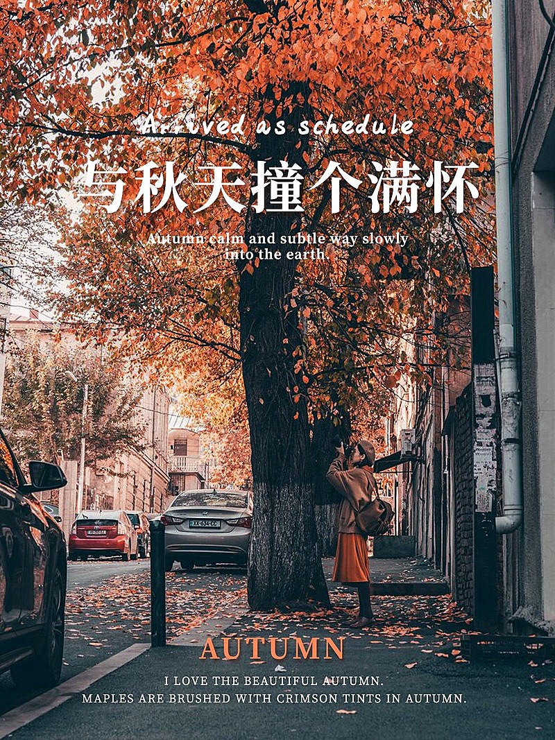 季节秋天晒风景简约风plog模板