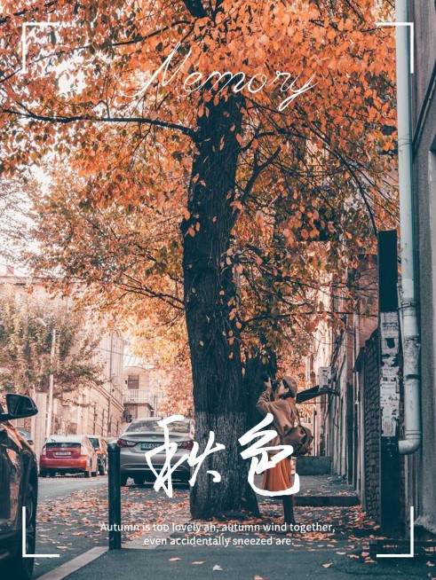 秋天风景晒照plog预览效果