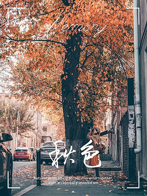 秋天风景晒照plog