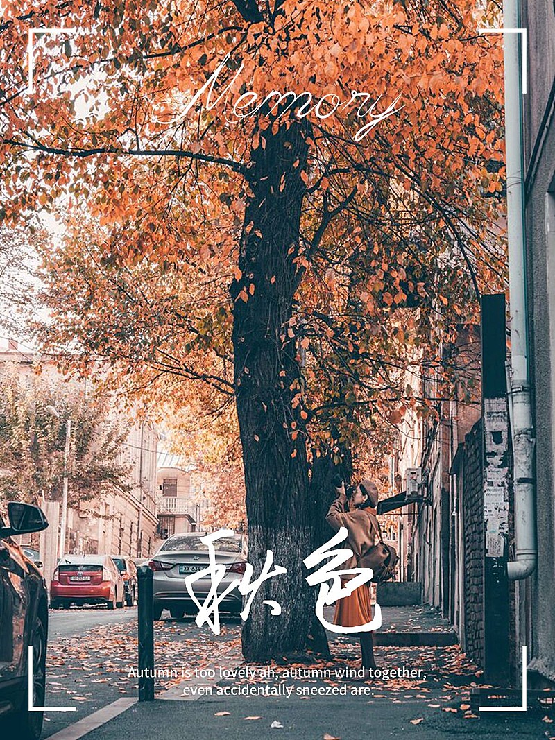 秋天风景晒照plog