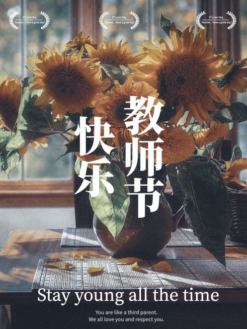 教师节祝福简约风晒照plog模板预览效果