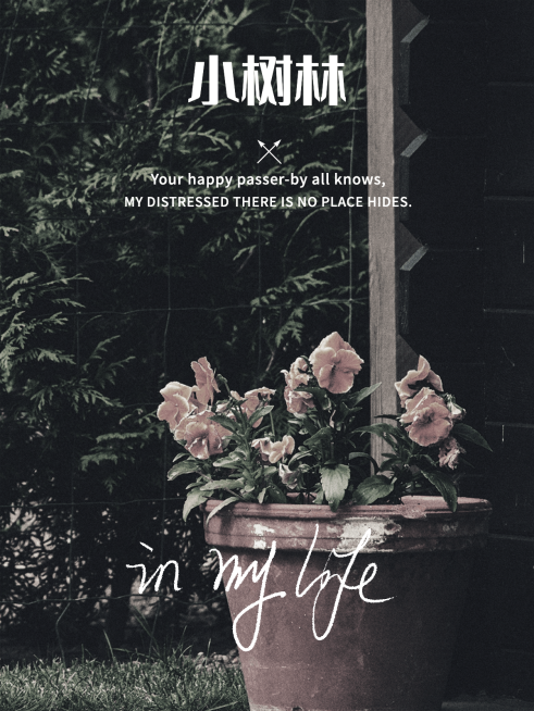 秋天复古风生活晒照plog预览效果