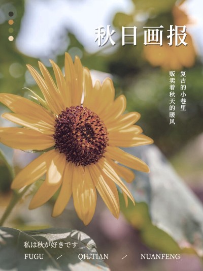 秋天风景晒照-plog