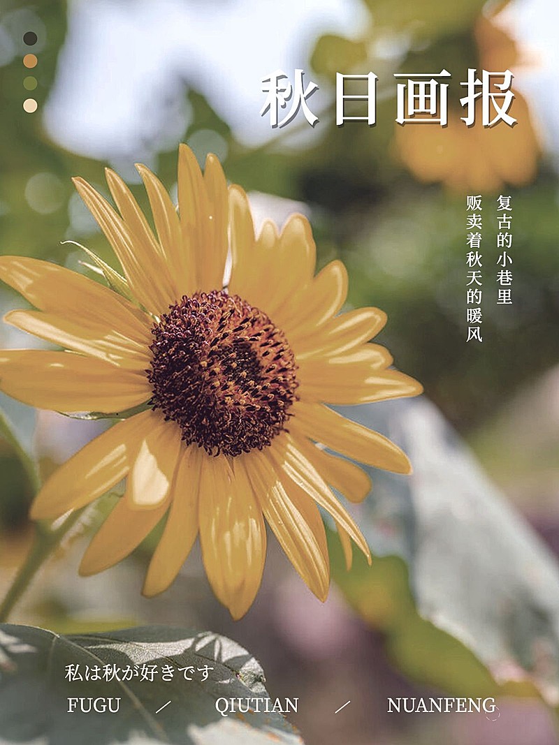 秋天风景晒照-plog