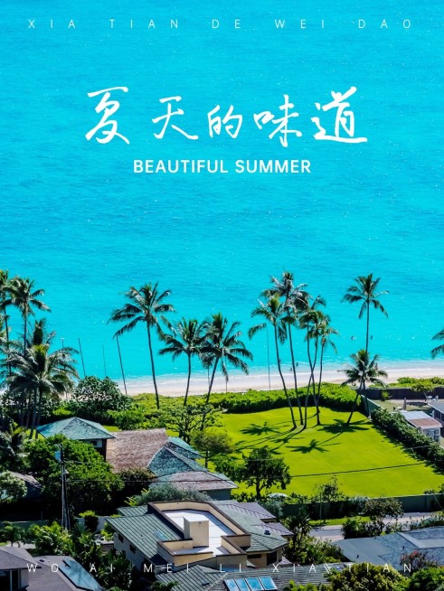 夏天风景晒照plog预览效果