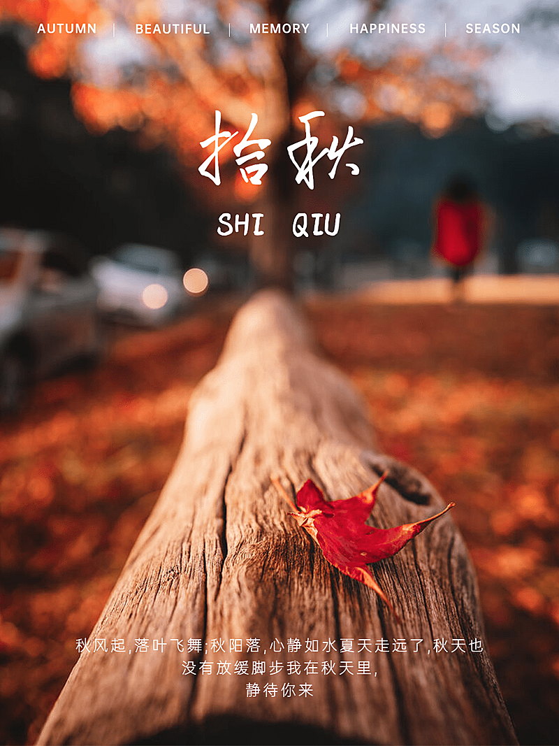 秋天文艺感风景晒照plog