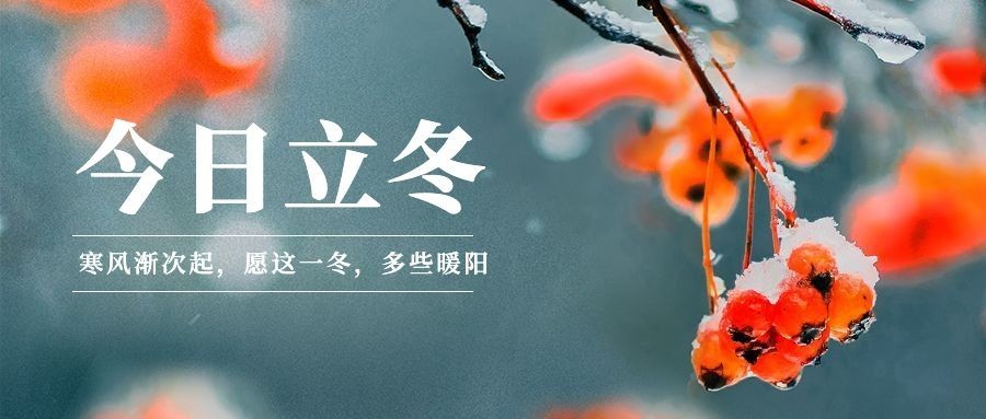 立冬节气实景特写简约公众号首图预览效果