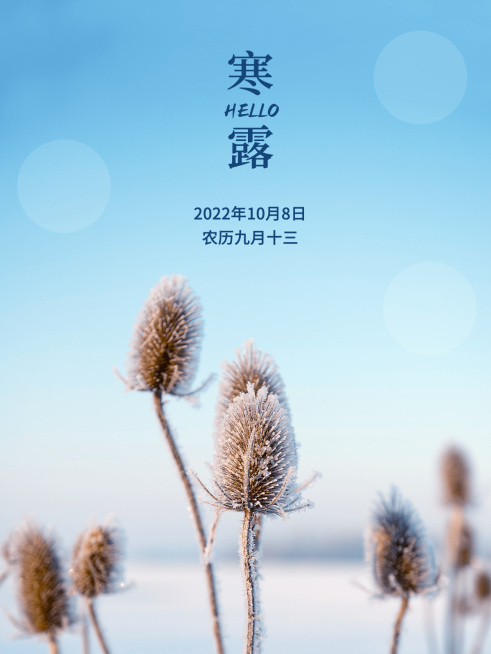 寒露节气风景晒照plog预览效果