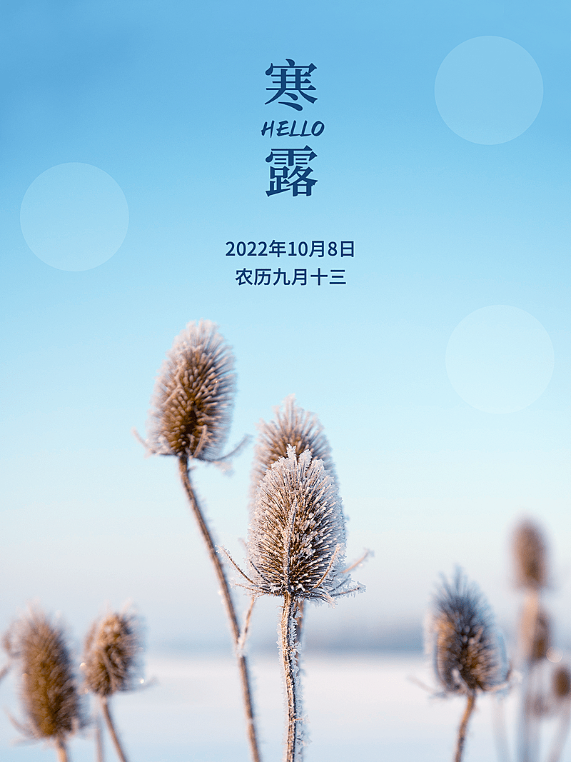 寒露节气风景晒照plog