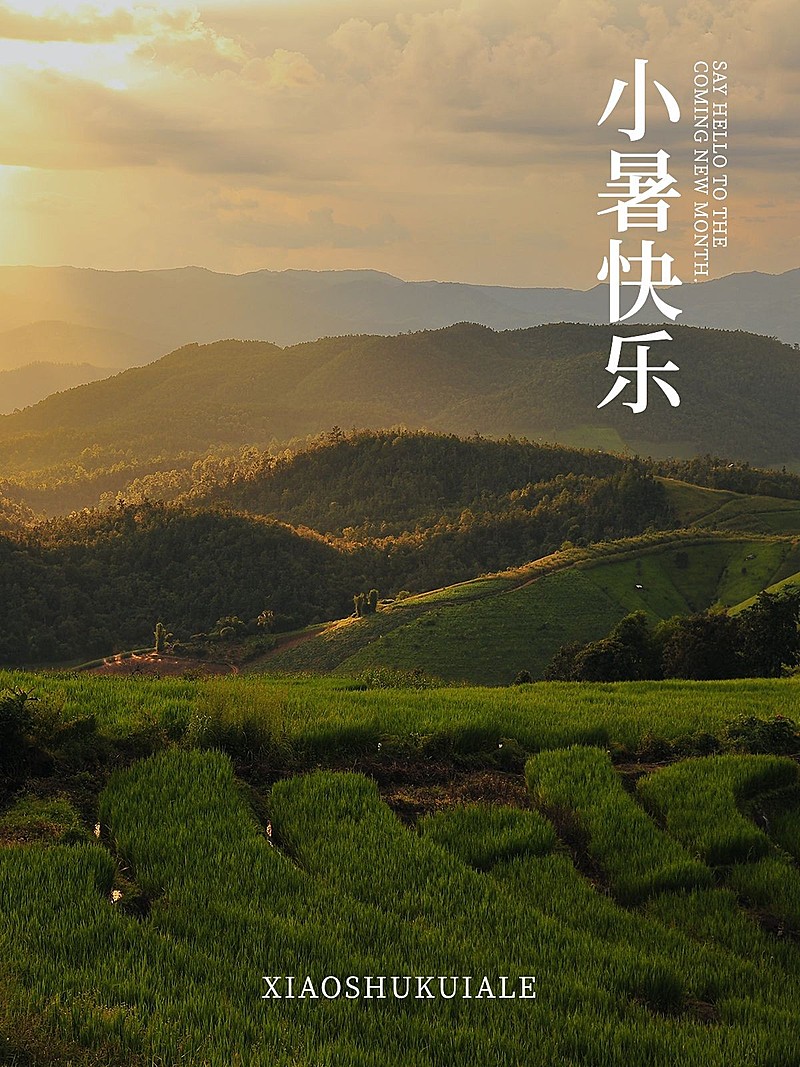 小暑晒风景简约风plog模板