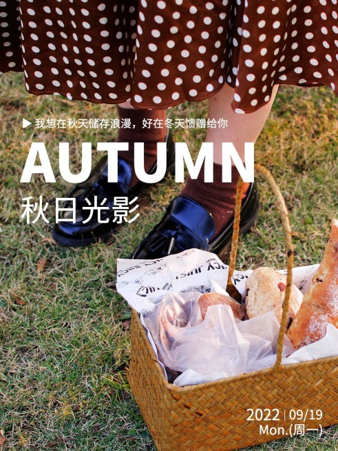 秋天生活晒照plog预览效果