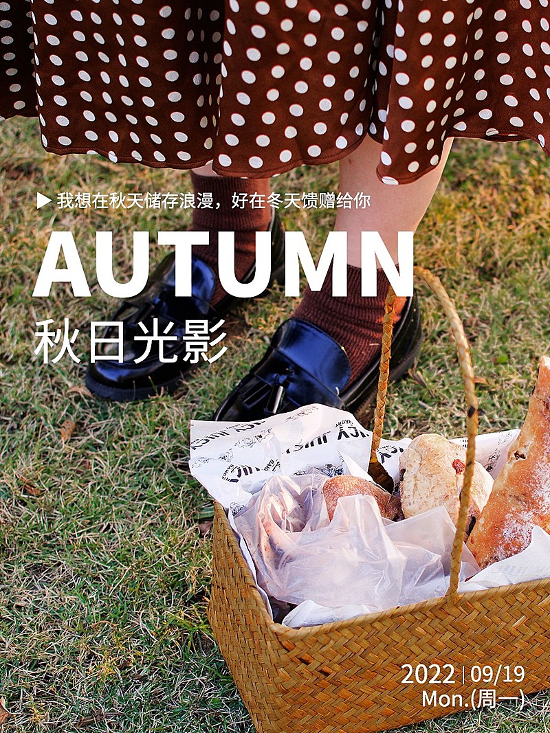 秋天生活晒照plog