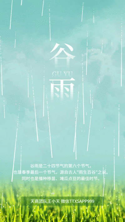 二十四节气文艺简约海报