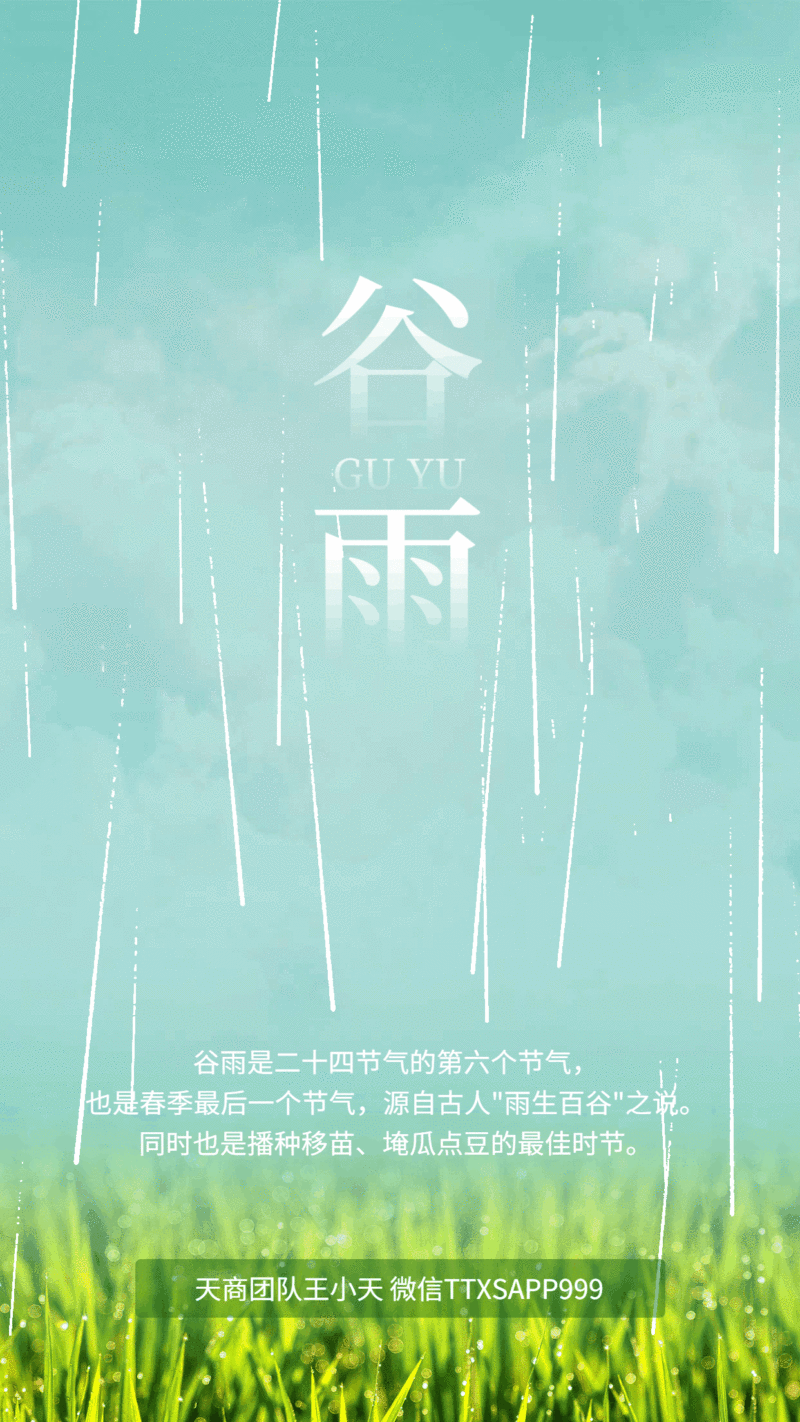 二十四节气文艺简约海报