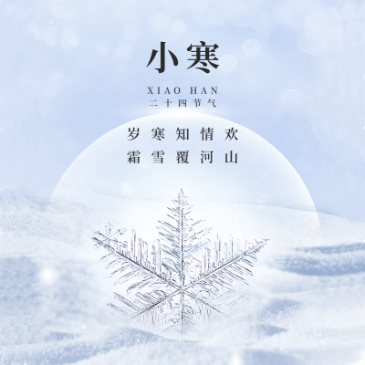 小寒节气冬日冰霜方形海报