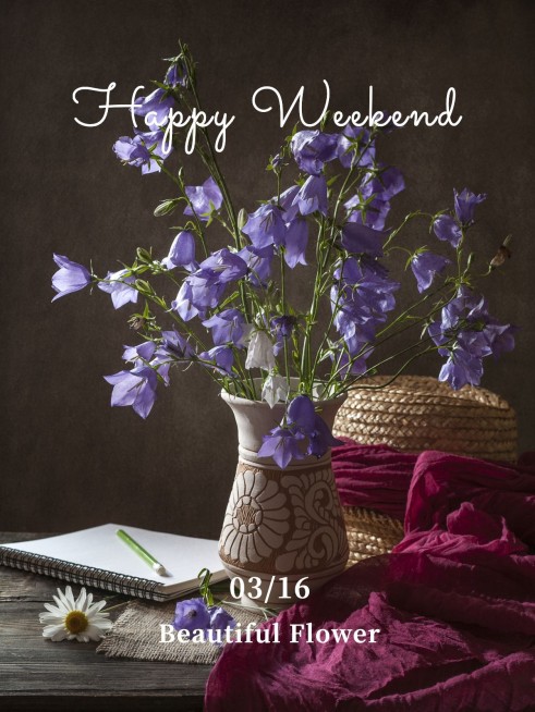 摄影排版生活分享简约风plog模板预览效果