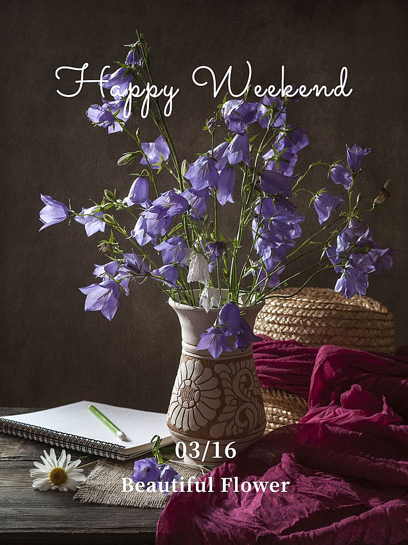 摄影排版生活分享简约风plog模板