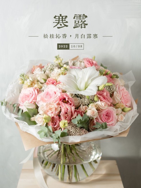 节气寒露晒生活简约风plog模板预览效果