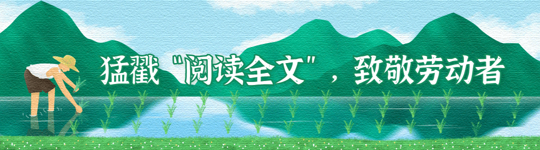 劳动节节日祝福插画动态引导原文预览效果