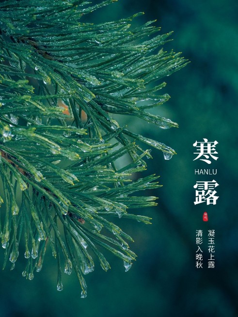 节气寒露晒风景简约风plog模板预览效果