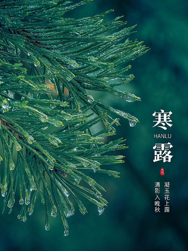 节气寒露晒风景简约风plog模板